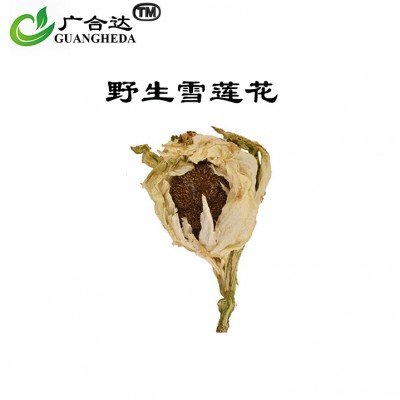 雪莲花（中小）