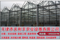 日光温室建设厂家助力农业升级