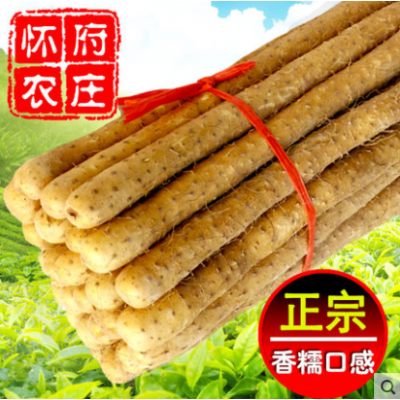 怀府农庄 新鲜铁棍山药5斤装河南焦作温县正宗淮山铁杆山荮怀山约